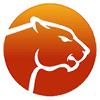 Percona MySQL